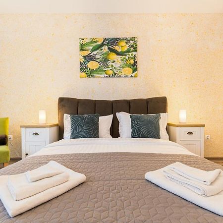 Apartament Topaz براشوف المظهر الخارجي الصورة